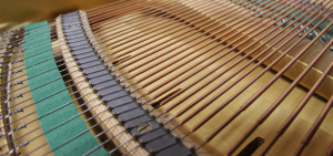 banner_04_zeneiskola_784x368